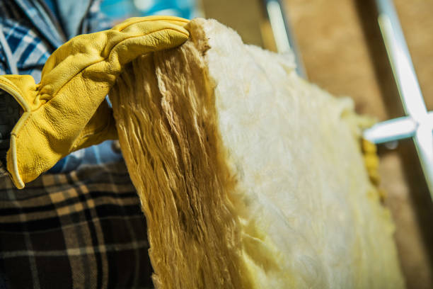 Best Insulation Removal  in Whittier, CA