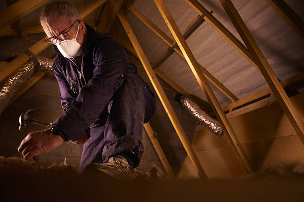 Best Insulation for New Construction  in Whittier, CA